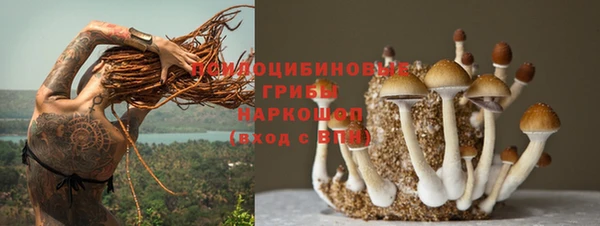 дмт Кодинск