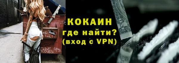 дживик Козельск