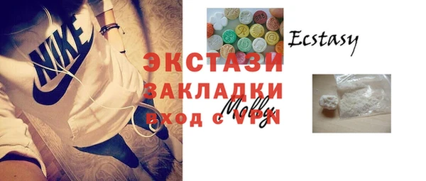 индика Козловка