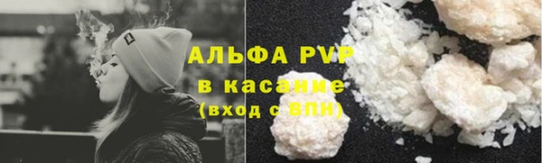 индика Козловка
