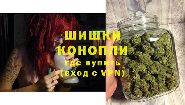 дживик Козельск