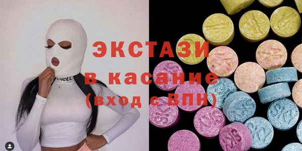 индика Козловка