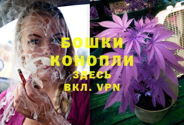 дмт Кодинск