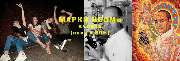 дживик Козельск
