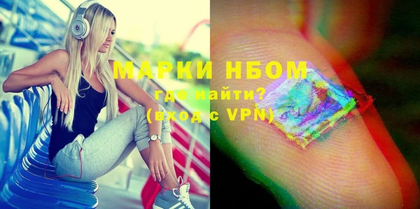 индика Козловка