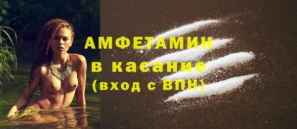 индика Козловка