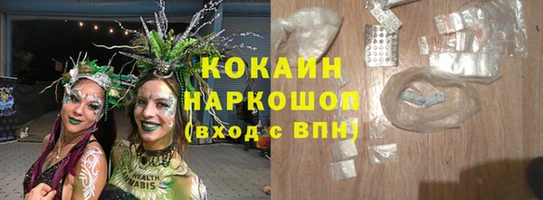 дмт Кодинск