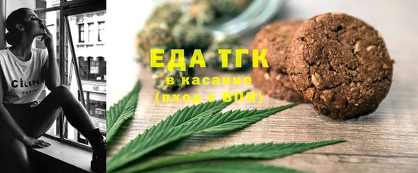 индика Козловка