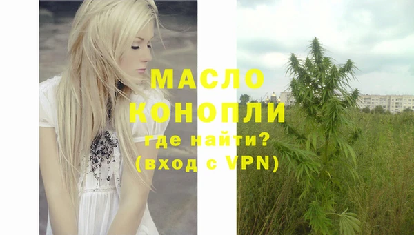 индика Козловка