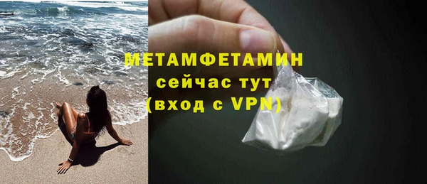 индика Козловка