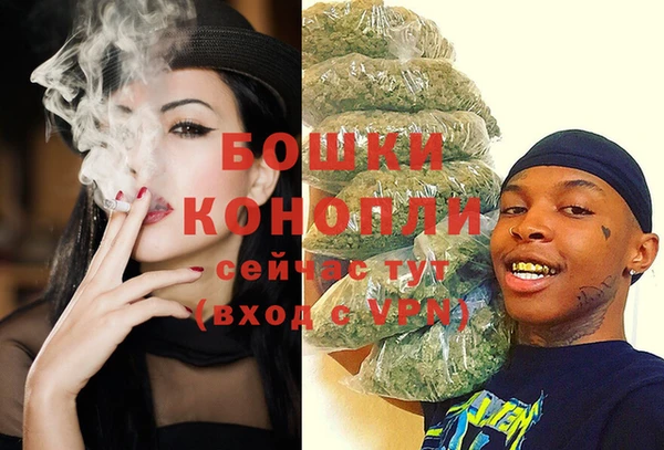 индика Козловка