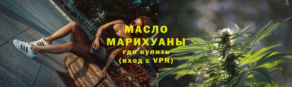 индика Козловка