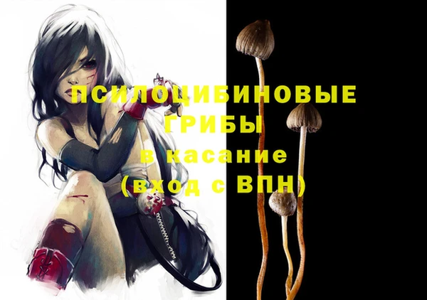 дмт Кодинск