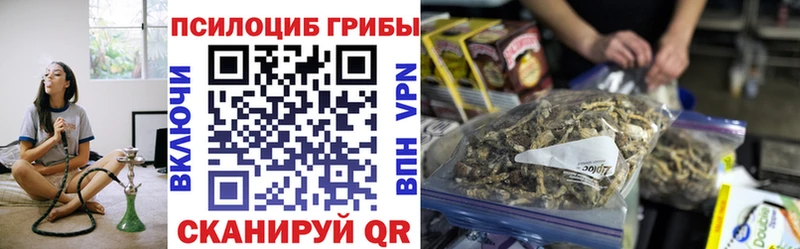 Купить где Карпинск Галлюциногенные грибы прущие грибы